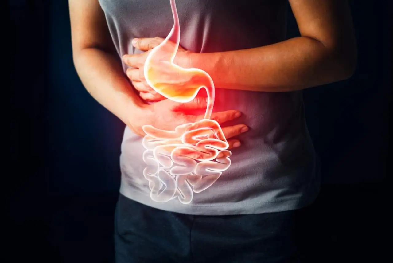 Che cos’è l’eubiosi intestinale? Ecco la risposta