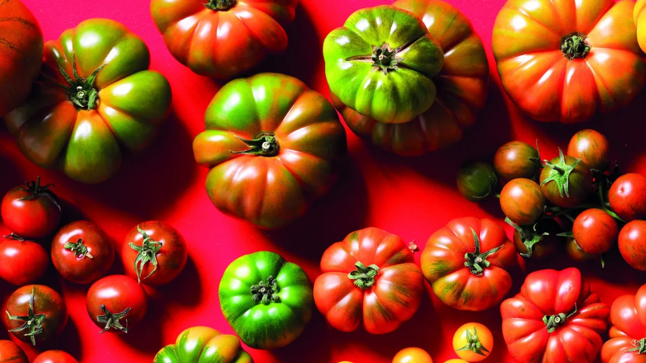 Il metodo definitivo per conservare i pomodori freschi tutto l’inverno senza congelarli