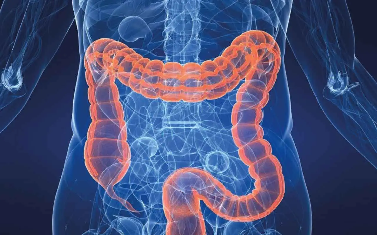 Gonfiore e stanchezza? Ecco cosa mangiare subito per riequilibrare l’intestino