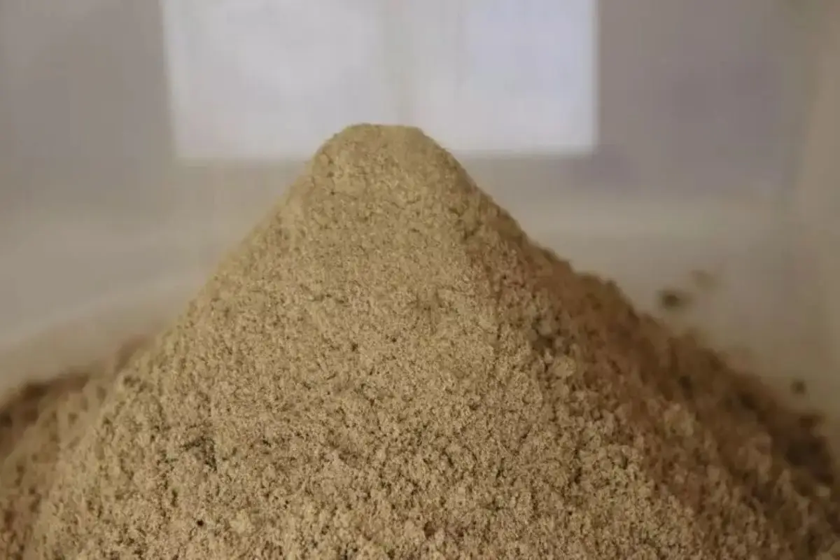 Non aggiungere sabbia al tuo terreno prima di aver letto questo: potresti peggiorare tutto