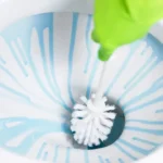 Come sgrassare i sanitari? Il metodo naturale che li fa brillare