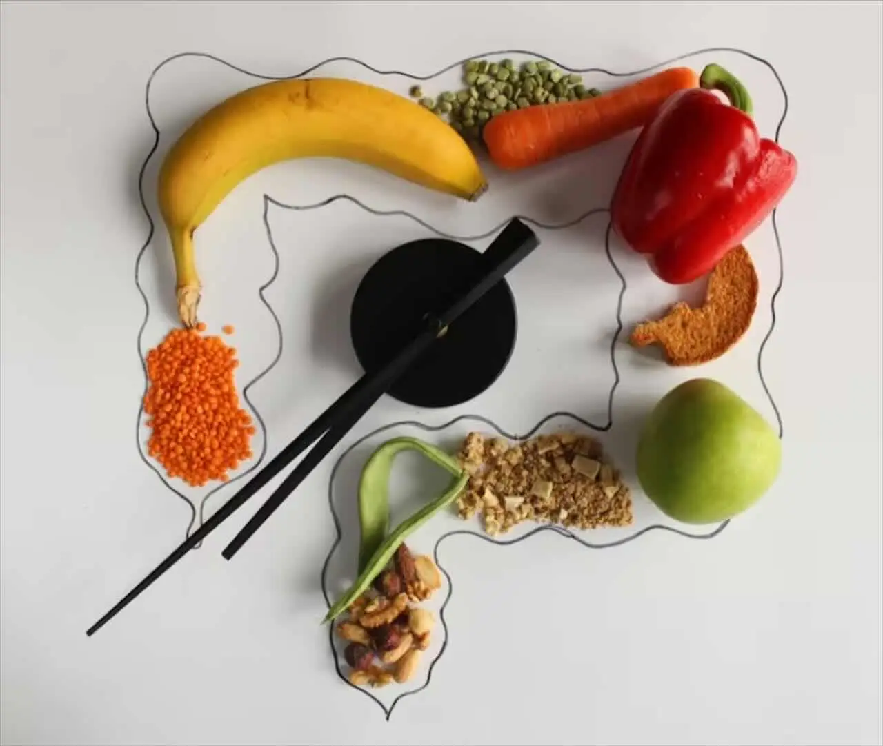 Che cos’è il canale alimentare? Ecco la sua funzione nel dettaglio