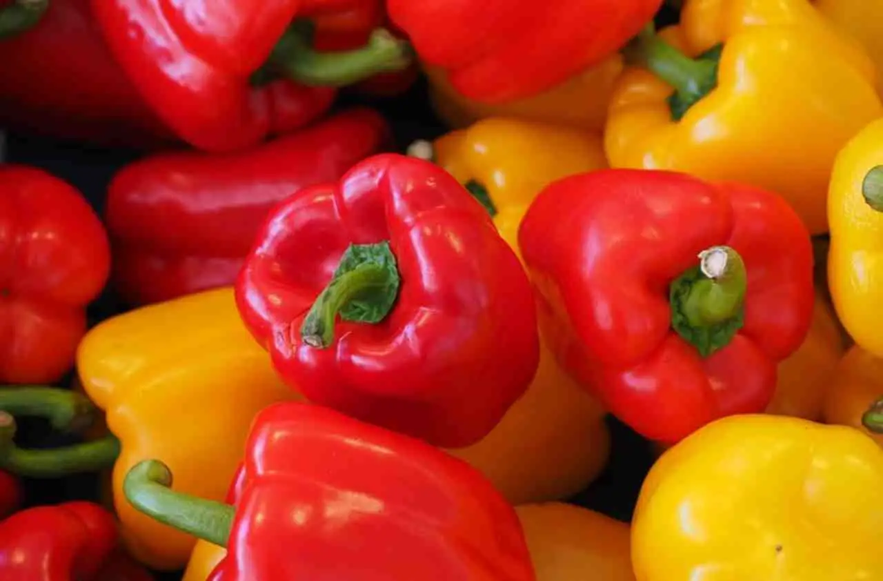 Cosa piantare vicino ai peperoni? Ecco le consociazioni giuste